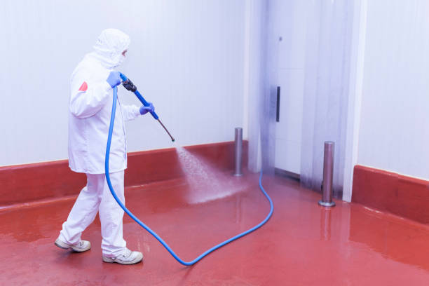 Best Rust Removal  in Bryson City, NC